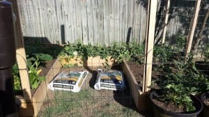 veggiegardencrystalcombs