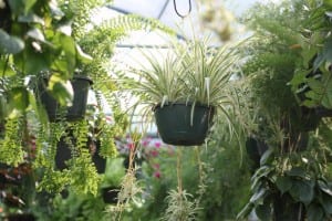 545772_217925391654578_2137299925_n