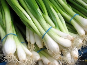onions-green Green onions are available to plant in winter and spring