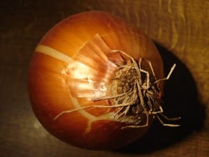 onions-supersweet Supersweet onions are a favorite to grow in Texas.