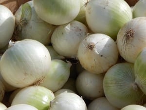 onions White onions are good for any basic recipe.