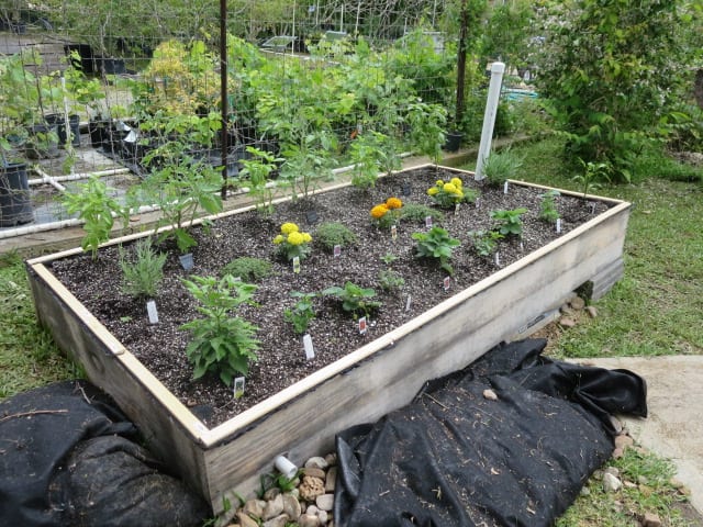 The Scoop On Poop Adding Manure Compost To Your Garden Rainbow