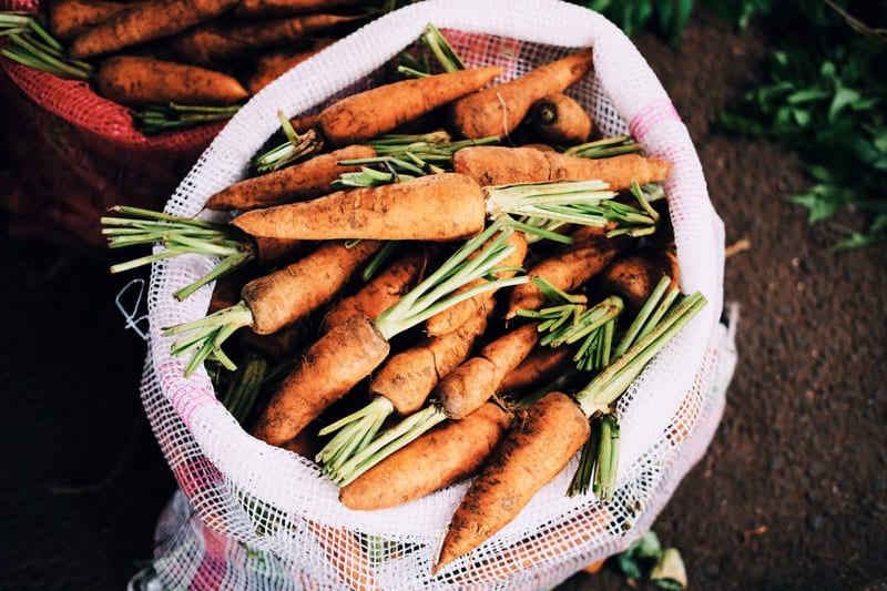 Harvesting Tips Spring Vegetables Gardening San Antonio Texas