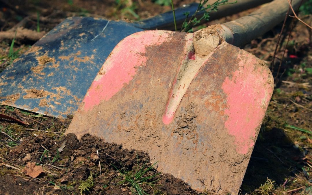 Prep Soil Each Season for Best Garden Results