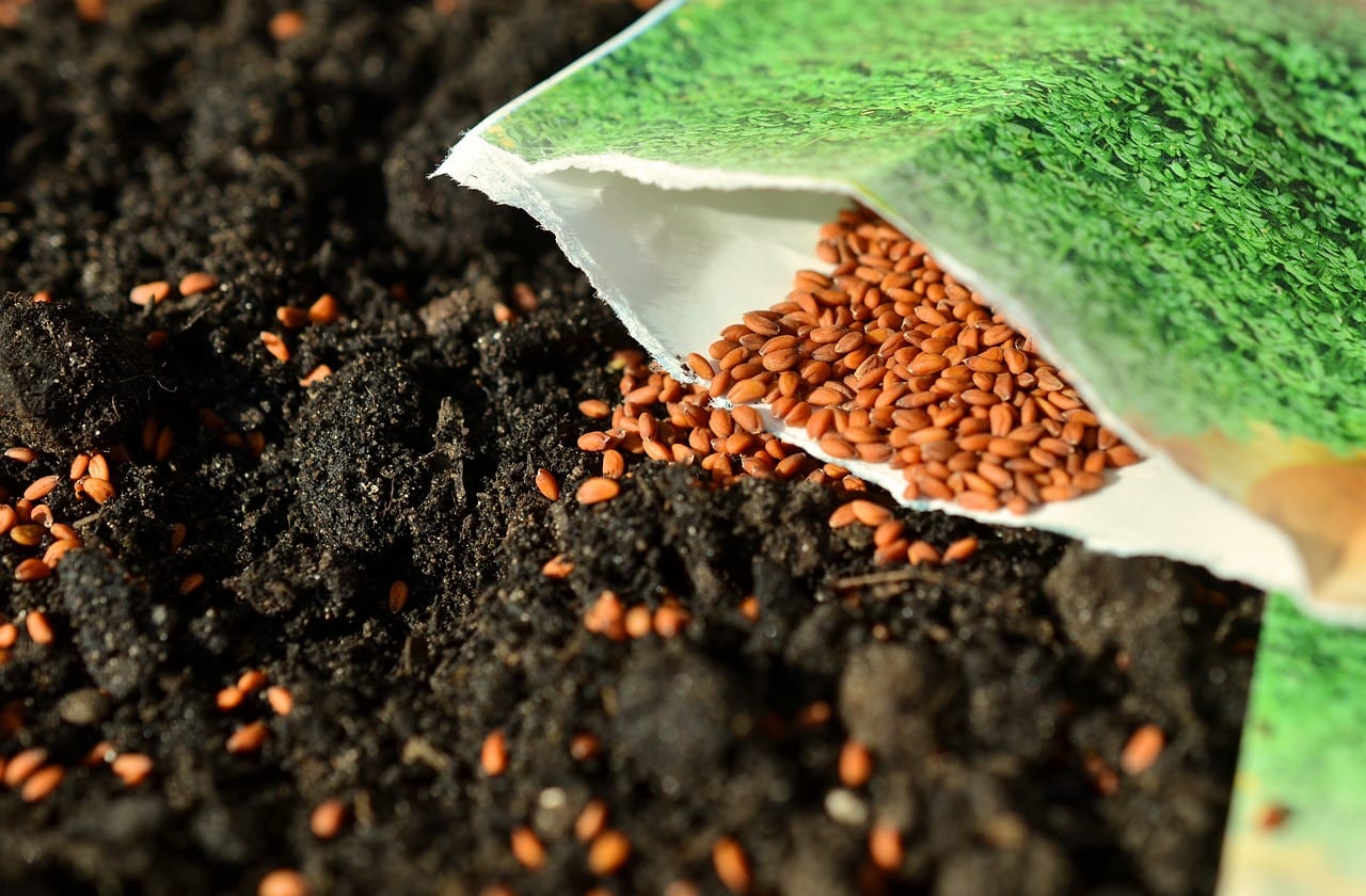 Propagating plants easily by planting seeds.