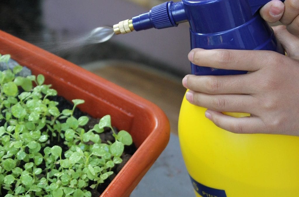 Following insecticide labels is important for best results.