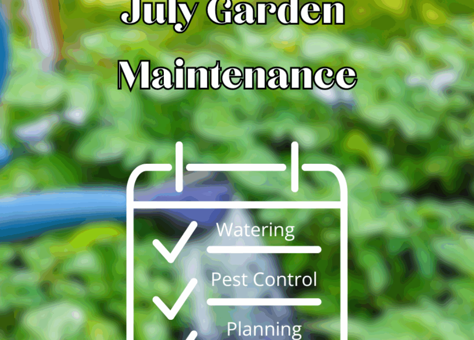 July Garden Maintenance graphic.