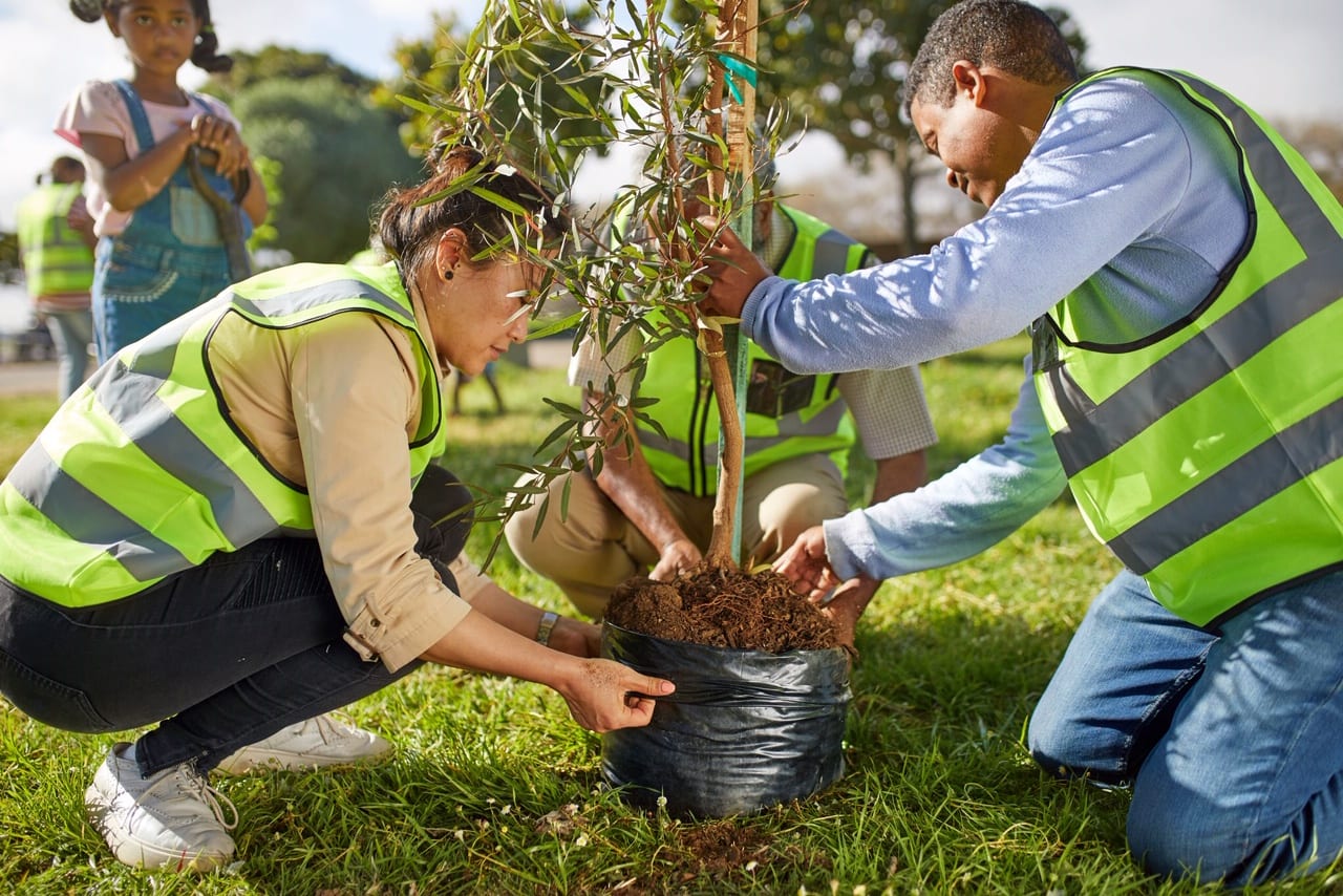 San Antonio guide for planting trees and shrubs during fall