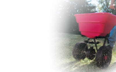 Fall Checklist for Lawn and Turf Care in San Antonio