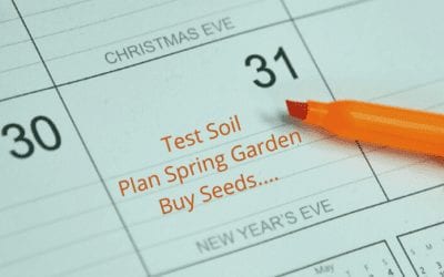 Gardening Resolutions for Successful Spring Gardens