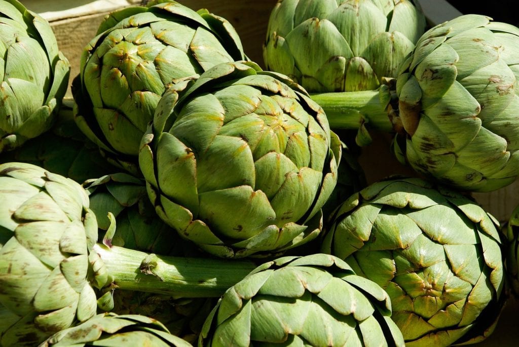 5 Tips for growing artichokes successfully in San Antonio