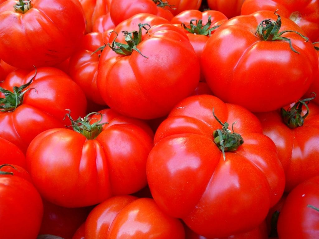 Rainbow Gardens Tips On Growing Successful San Antonio Tomatoes