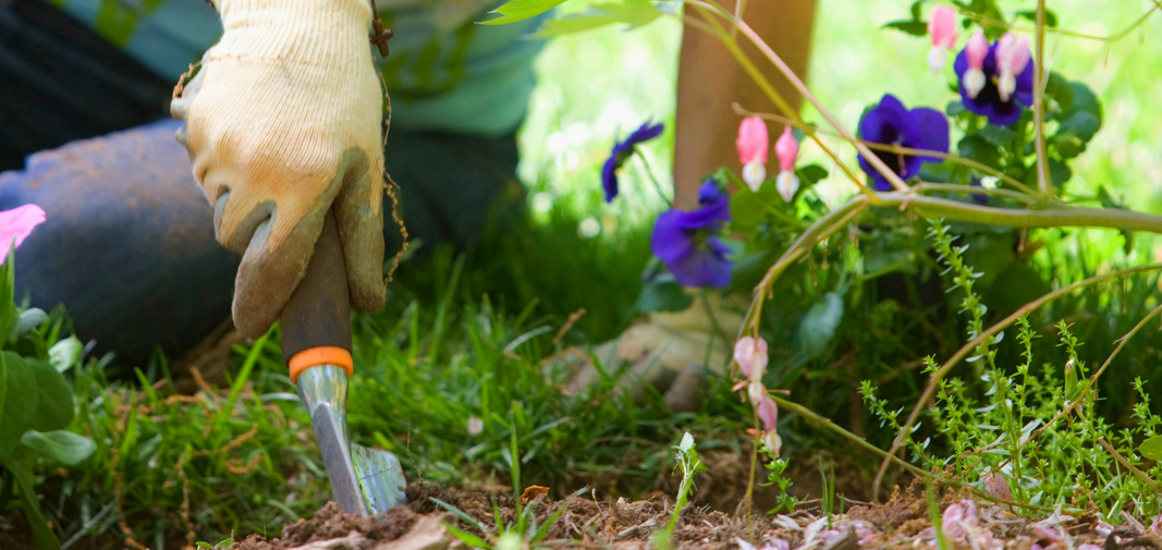 Resilience Gardening: Outside is the Best Place to be Right Now!