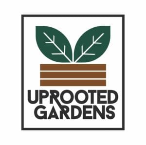 51957906_2049471238494353_2485460869404688384_o