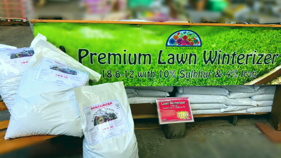 fall-fertilizer-winterizer-lawn-care Lawn fertilizer for fall from Rainbow Gardens