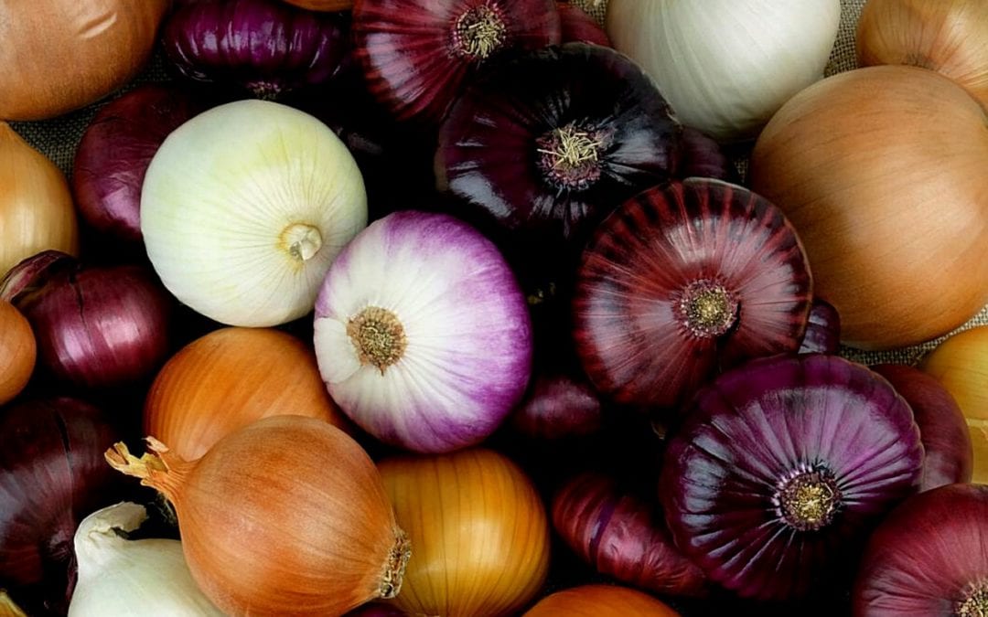 A sample of a couple of different onions.