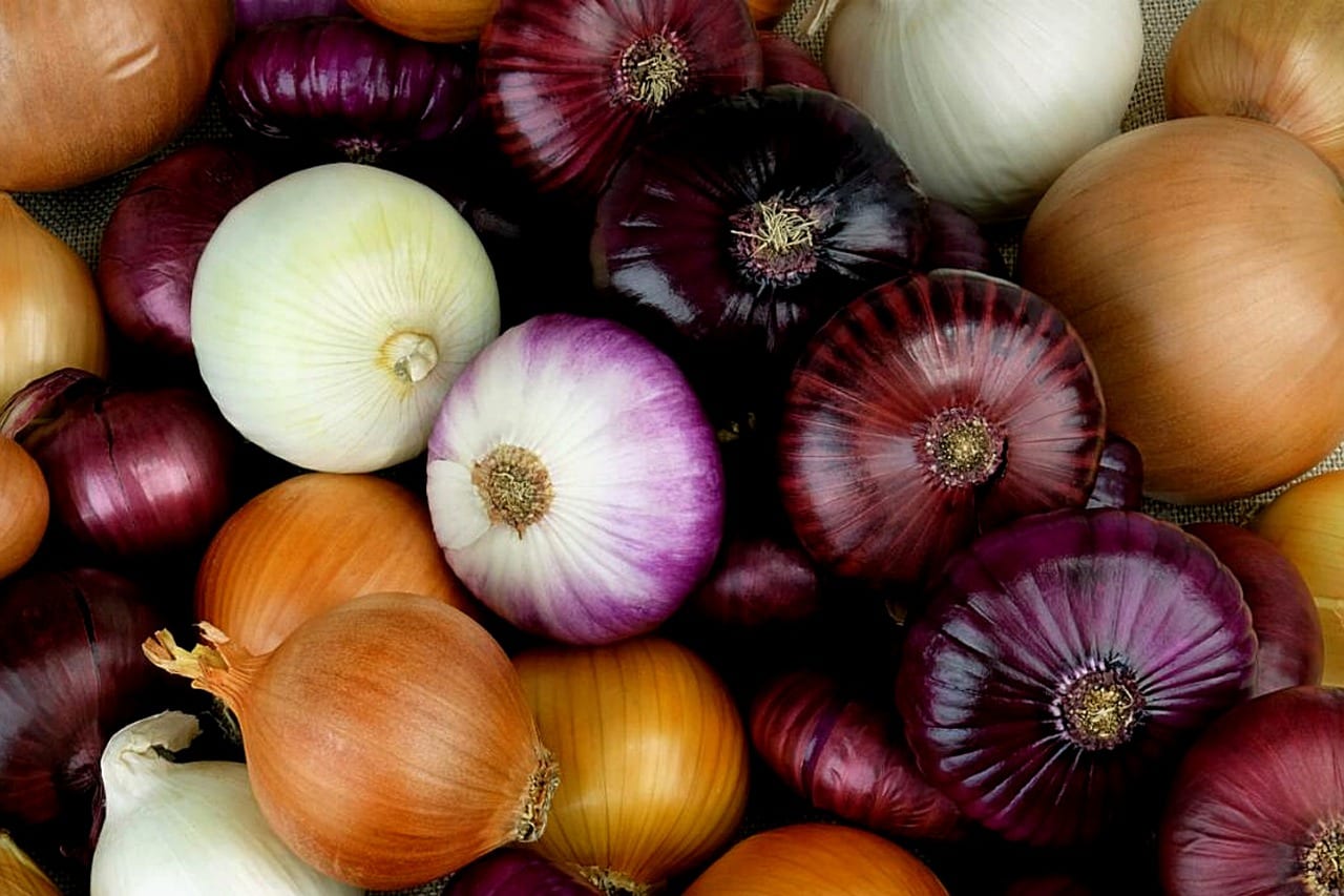 A sample of a couple of different onions.