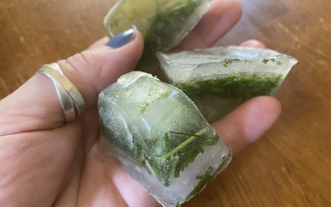 Ice trays are great for preserving herbs by freezing.
