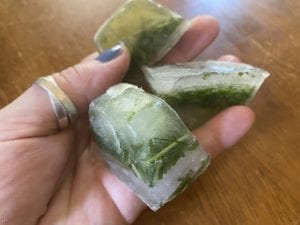 preserving-herbs-freezing Ice trays are great for preserving herbs by freezing.