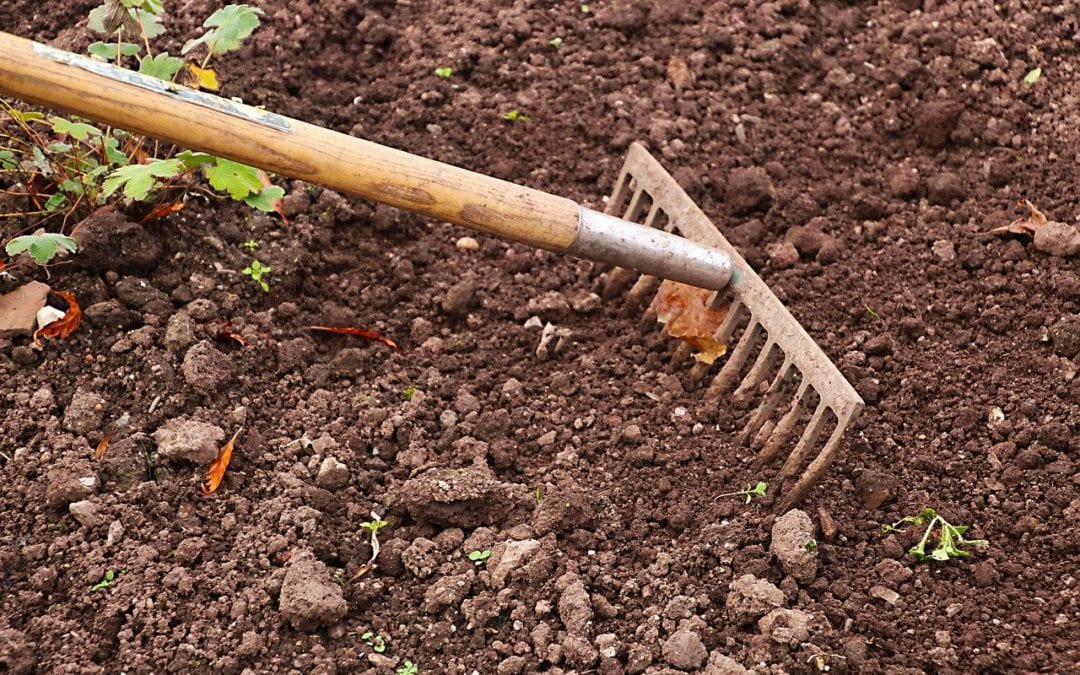 Go Organic to Feed and Improve Soil