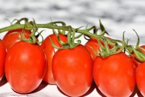 tomatoes-tomato-cherry Grape tomatoes in a row.