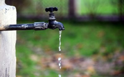 Water Conservation Tools and Tips