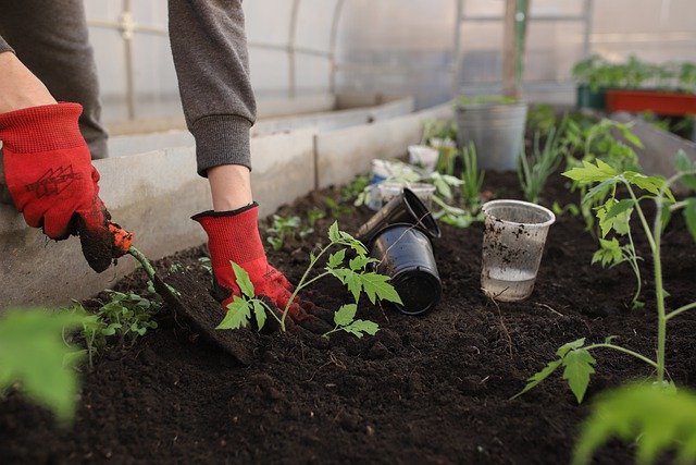 Prep for the fall garden season for success
