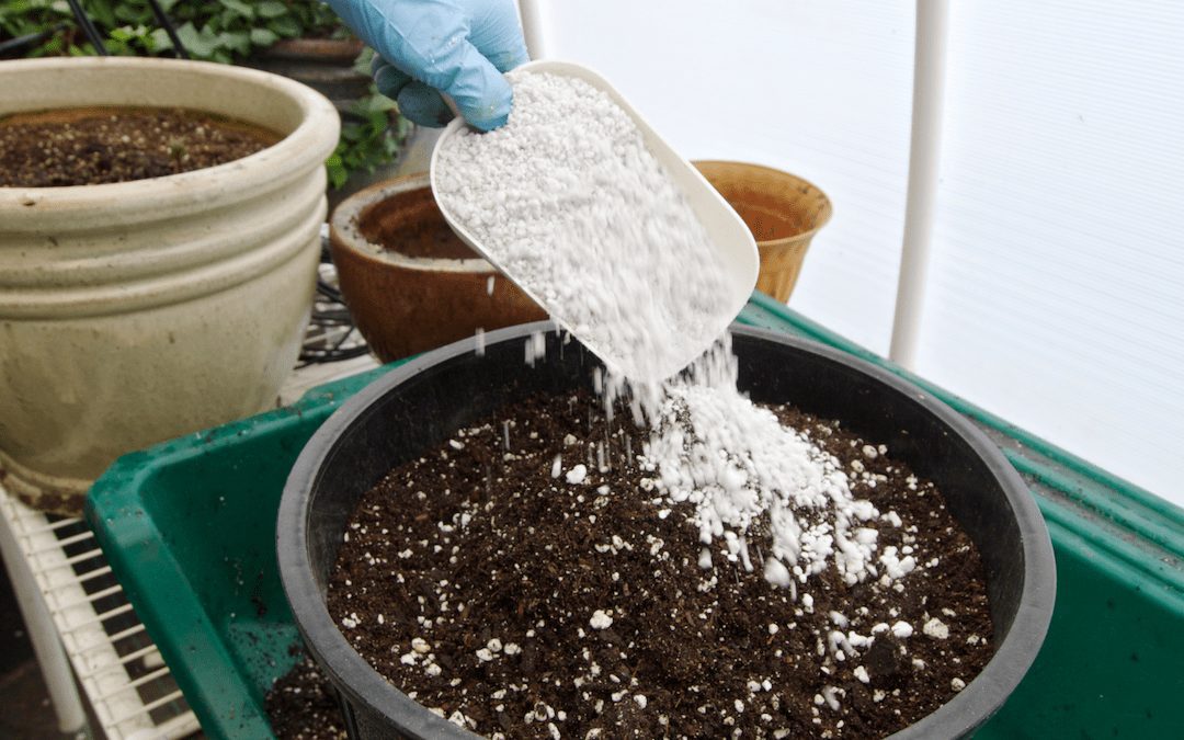 Perlite = A Dynamite Soil Amendment