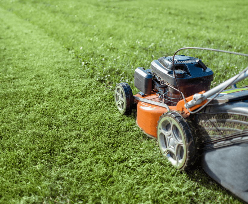 Jump Start Spring Part 2: February Lawn and Soil Prep