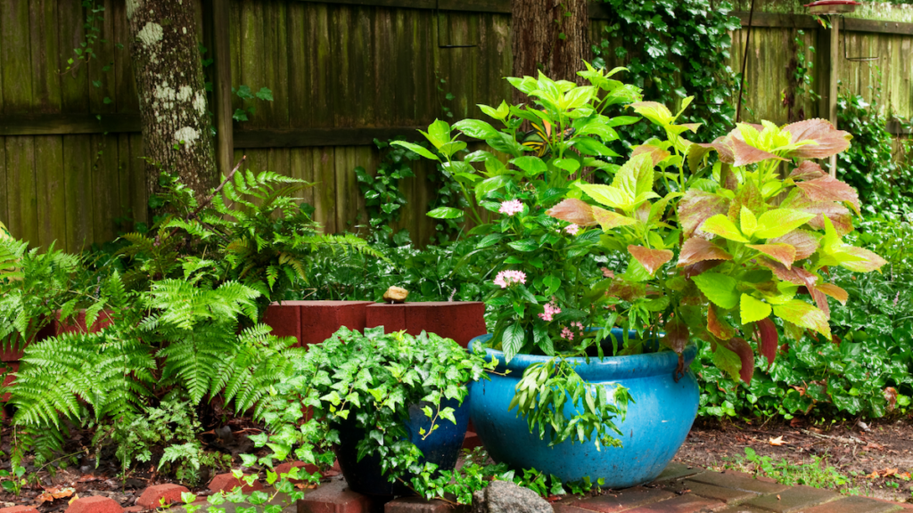pots-pot-container-containers-gardening-landscape