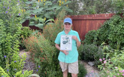 Pollinator Gardening 101 and The Butterfly Landing