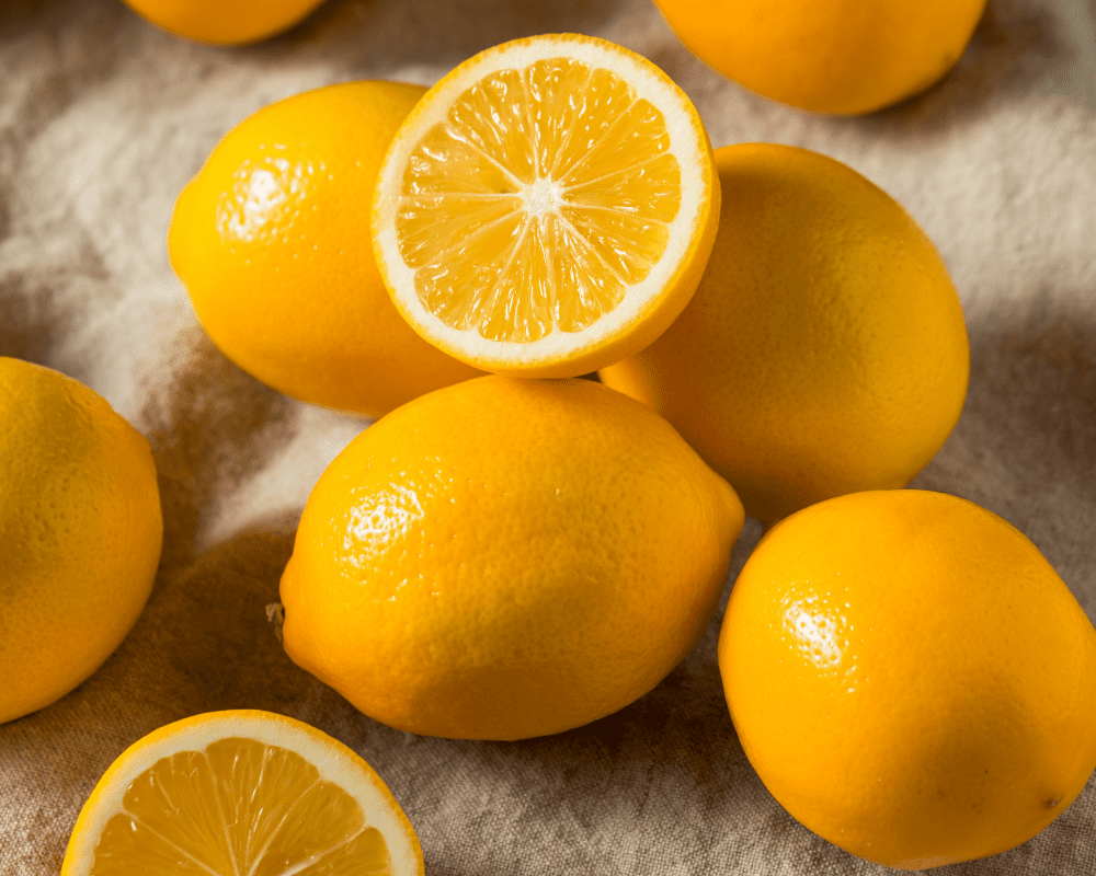 Bunch of Improved Dwarf Meyer Lemons.