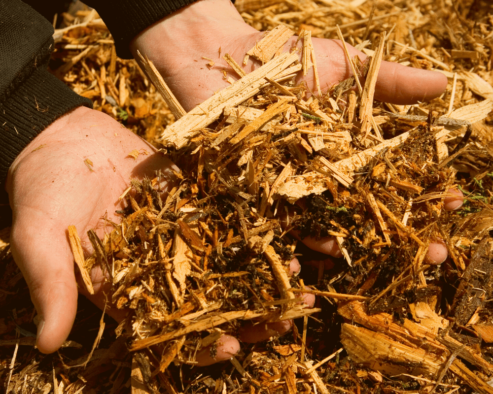Mulch in hands