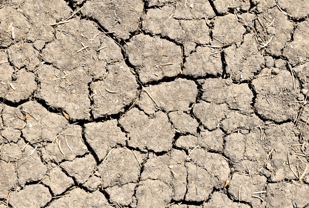 Soil in Drought