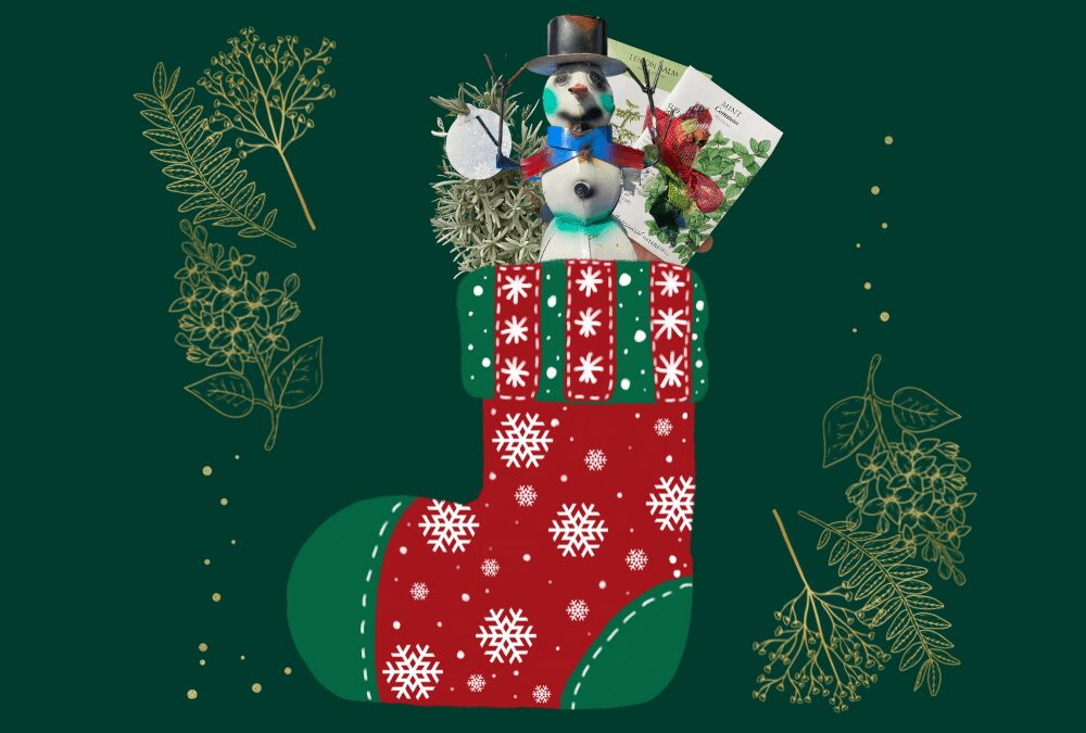 Got Gardeners? Holiday Gift Lists Are Covered at Rainbow Gardens!