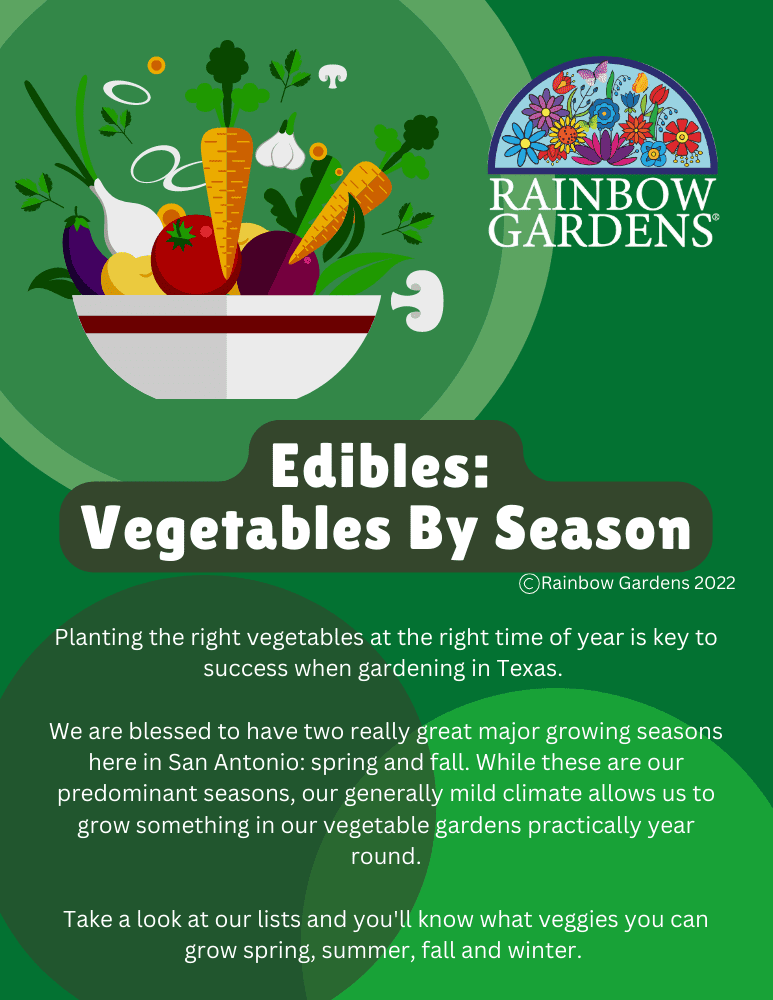 Edibles Vegetables for San Antonio by Season Rainbow Gardens