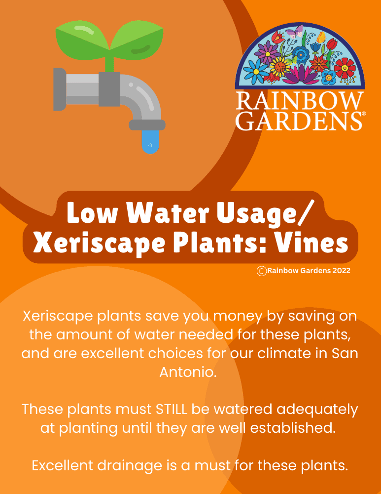 Low-Water-Usage-Xeriscape-Plants-vines-image