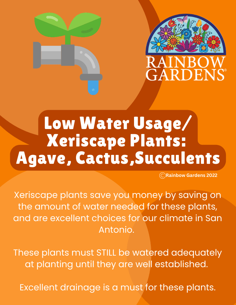 Low-Water-Usage-Xeriscape-Plants-agave-succulents-cactus-image