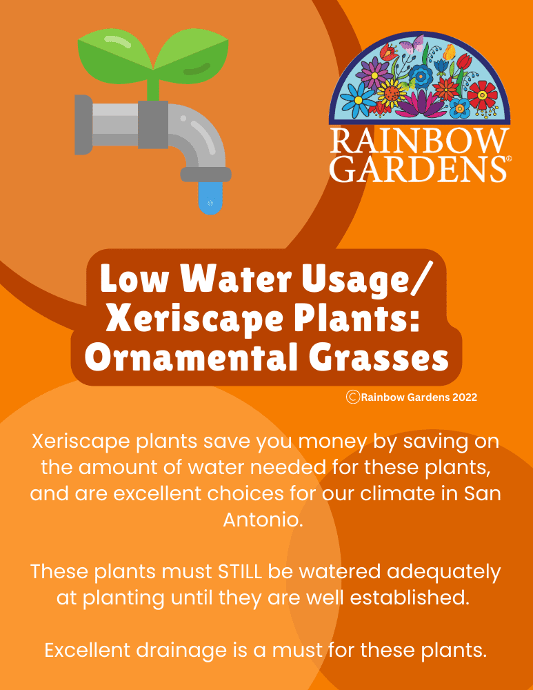 Low-Water-Usage-Xeriscape-Plants-ornamental-grasses-image