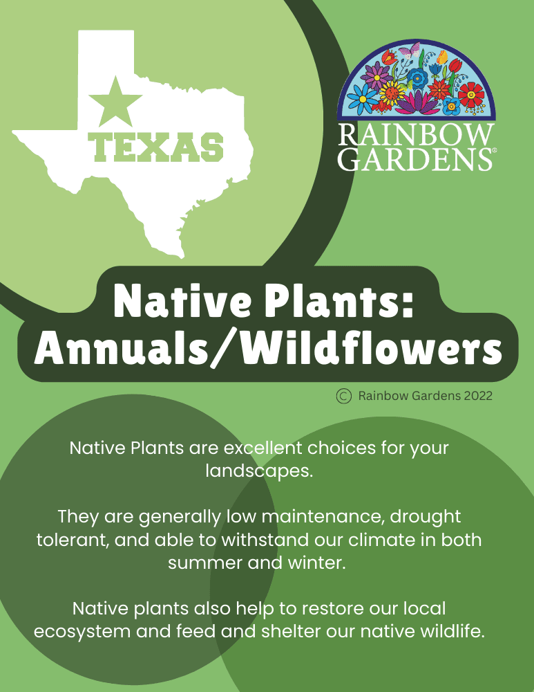 Native-Plants-Annuals-Wildflowers-image