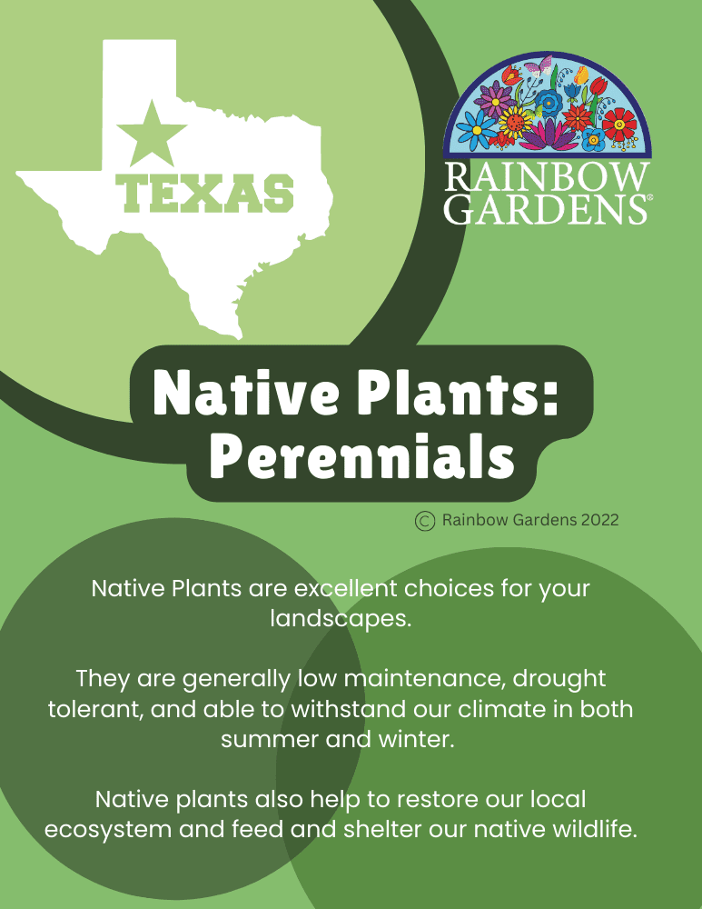 Native-Plants-Perennials-image