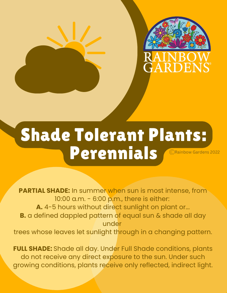 Shade-Tolerant-Plants-Perennials-image