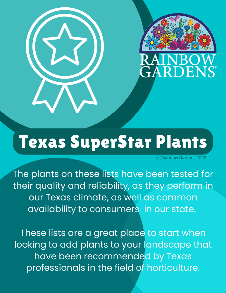 Texas Superstar Plants Full File Rainbow Gardens