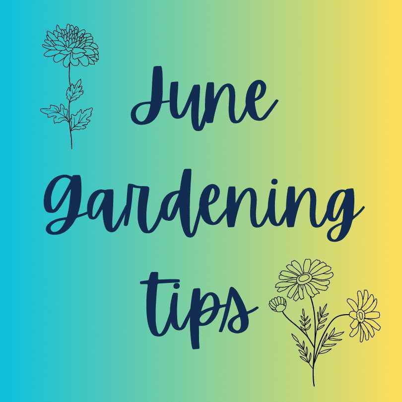 June Monthly Gardening Tips graphic