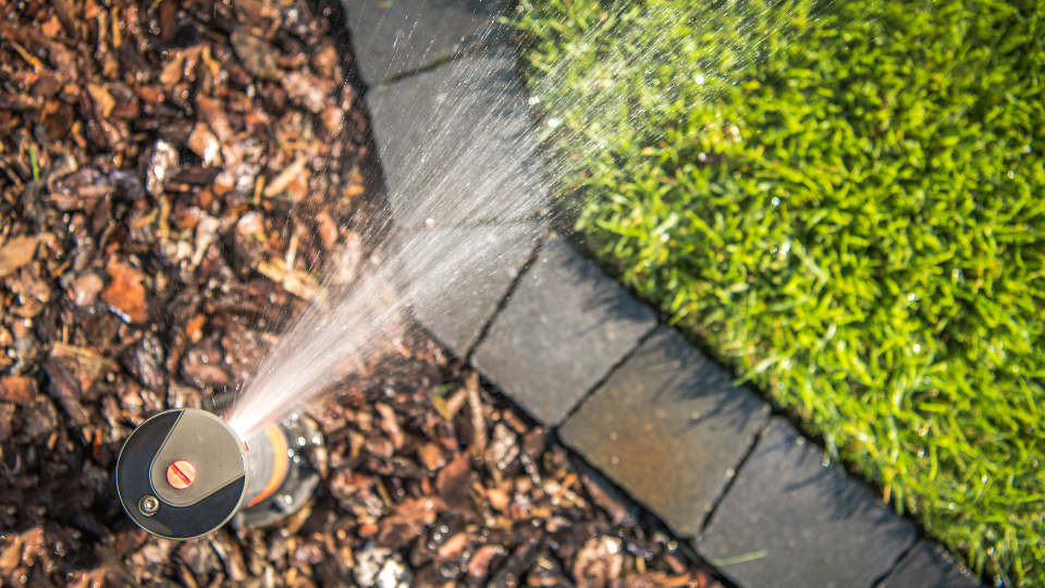 Sprinkler watering lawn.