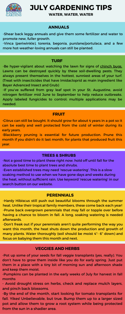 July Monthly Gardening Tips