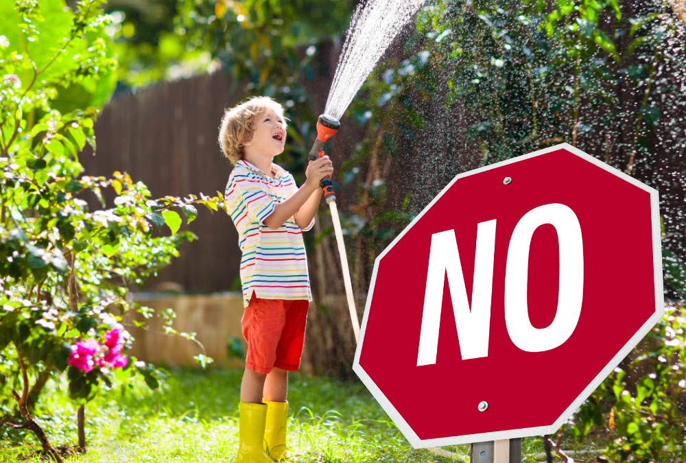 Make the Most of Your Watering During San Antonio Summers.