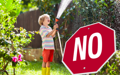 Make the Most of Your Watering During San Antonio Summers.