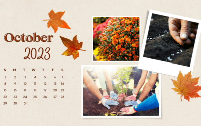 Why You Should Plant in Fall in San Antonio, Texas.