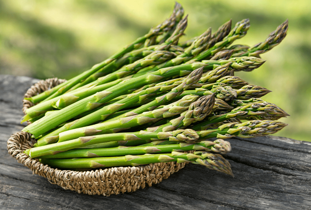 Growing Asparagus in San Antonio, Texas